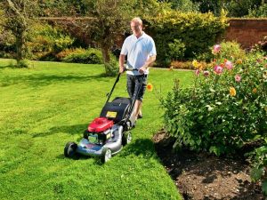 Kosiarka spalinowa Honda kosiarka spalinowa (HRG 536 C7 VKE) 14