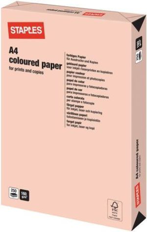 Staples Papier ksero Pastel Colours A4 160g łososiowy 250 arkuszy 3