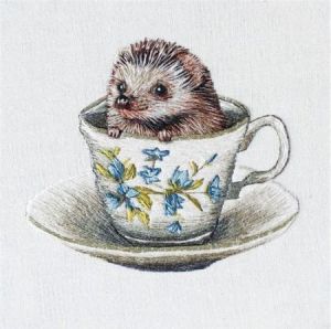 Museums & Galleries Karnet kwadrat Baby Hedgehog z kopertą 1