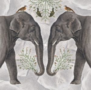 Museums & Galleries Karnet kwadrat Indian Elephant z kopertą 1