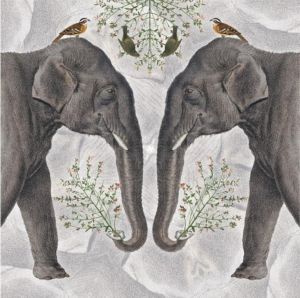 Museums & Galleries Karnet kwadrat z kopertą Indian Elephant 1