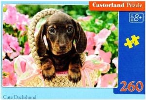 Castorland Puzzle 260 Cute Dachshund 1