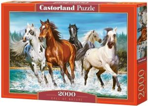 Castorland Puzzle 2000 Call of Nature 1