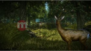 Wiedźmin 2: Zabójcy Królów- Edycja Rozszerzona Xbox 360 3