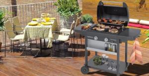 Campingaz Classic L Seria 2 Grill ogrodowy gazowy 7.5 kW 60 cm x 35 cm 3