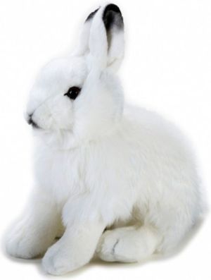 Dante Pluszak National Geographic Zając polarny biały 25 cm (003-70725) 1