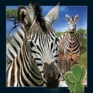 Worth Keeping Magnes 3D Zebra (182625) 1