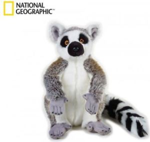 Dante Lemur (70757) 1