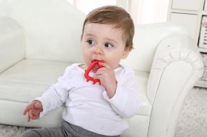 Mombella Mombella Gryzaki Geometryczne Zwierzątka 3