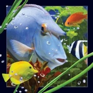 Worth Keeping Pocztówka 3D Niebieska ryba 1