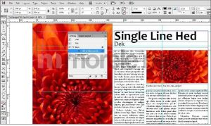 Adobe Creative Suite 6 Design Standard MAC PL (65163189) 11