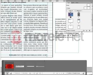 Adobe Creative Suite 6 Design Standard MAC PL (65163189) 12