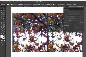 Adobe Creative Suite 6 Design Standard MAC PL (65163189) 3