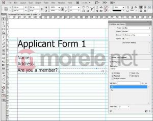 Adobe Creative Suite 6 Design Standard MAC PL (65163189) 8