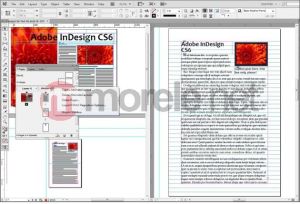 Adobe Creative Suite 6 Design Standard MAC PL (65163189) 9