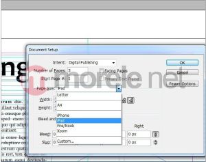 Adobe Creative Suite 6 Design Standard MAC PL (65163189) 10
