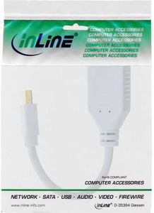 Adapter AV InLine DisplayPort Mini - DisplayPort biały (17150W) 2
