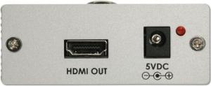 Adapter AV Lindy HDMI - DVI-D srebrny (32559) 2