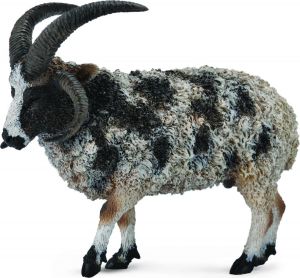 Figurka Collecta Owca wielkoroga (004-88728) 1