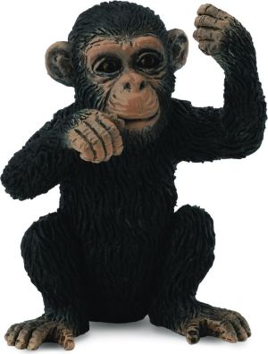 Figurka Collecta Szympans młody myślący (004-88495) 1