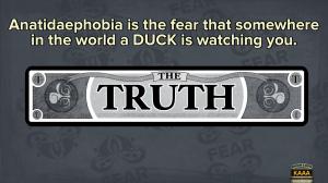 Fibbage XL PC, wersja cyfrowa 8