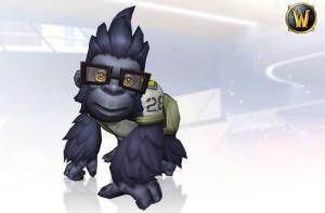 Overwatch: Legendary Edition PC, wersja cyfrowa 5