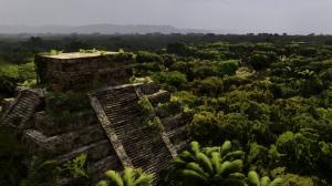 Railway Empire - Mexico PC, wersja cyfrowa 4