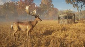 theHunter: Call of the Wild - Tents & Ground Blinds PC, wersja cyfrowa 5