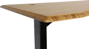 Biurko Platinet Stelaż do biurka z elektryczną regulacją wysokości (44144) 9