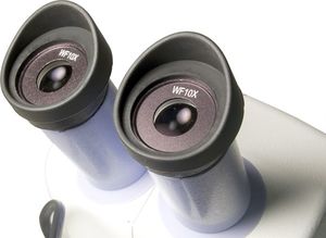 Mikroskop Levenhuk Mikroskop Levenhuk 5ST 2