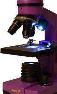 Mikroskop Levenhuk Mikroskop Levenhuk Rainbow 2L Amethyst\Ametyst 4