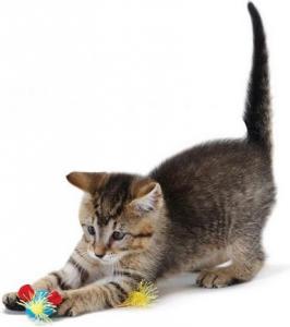 Petstages Kolorowe myszki 2szt PS383 2