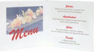 Ramka Deknudt 2x 5.5x8.6 (S58RL2 H2V) 2