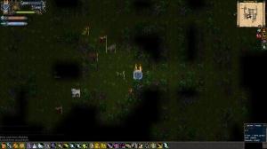 Tales of Maj'Eyal PC, wersja cyfrowa 3