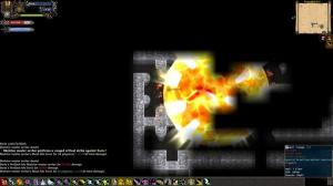 Tales of Maj'Eyal PC, wersja cyfrowa 7