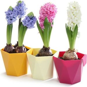 Lamela Osłonka Na Reling Do Ziół Kwiatów H:9 Heca 5