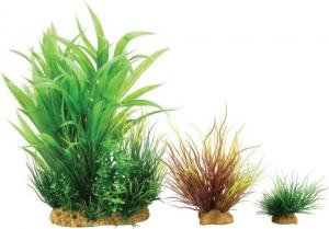 Zolux Dekoracja roślinna PlantKit Wiha model 2 (352141) 1
