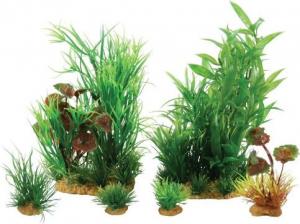 Zolux Dekoracja roślinna PlantKit Jalaya model 2 (352146) 1