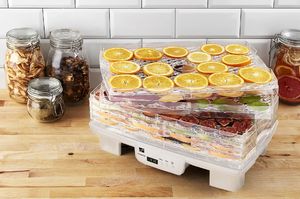 Suszarka G21 Paradiso Big 2