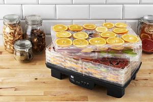 Suszarka G21 Paradiso Big 2