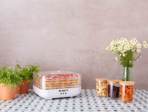 Suszarka G21 Paradiso Cube 2