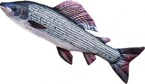 Gaby Poduszka Ryba Lipień 65cm 1