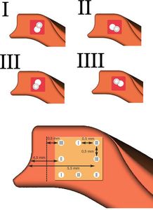 Hirsch Skórzany wodoodporny pasek do zegarka 18 mm HIRSCH Leonardo 12709550-18 5
