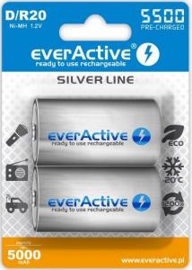 EverActive Akumulator Silver Line D / R20 5500mAh 2 szt. 1