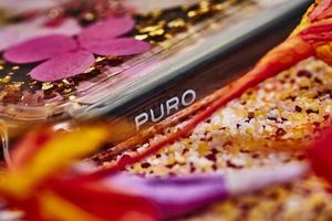 Puro Etui Glam Hippie Chic Cover iPhone XR zielone 5