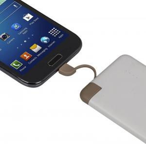 Powerbank RivaCase 4000MAH VA2004 5