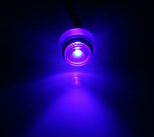BitsPower G1/4" - Crystal Lighting 3Pin - UV (BP-ACST-UV-3) 1