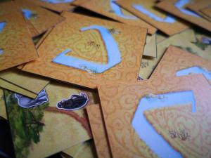 Bard Dodatek do gry Carcassonne: Safari 4