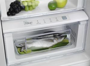 Lodówka Electrolux EAL6142BOX 3