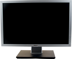 Monitor Dell Monitor LCD 22" P2210f (GW) 1
